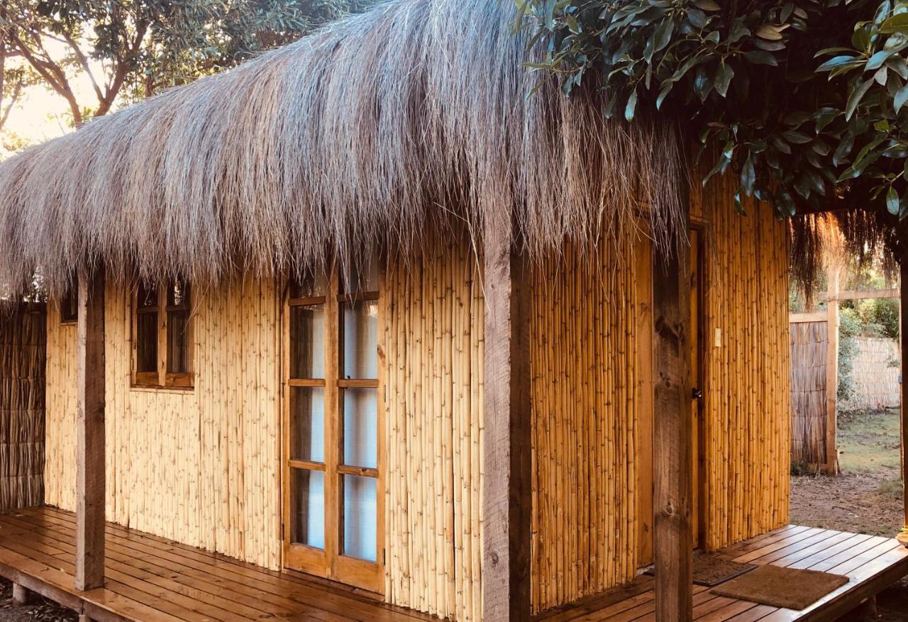 El Arbol Eco Lodge Ла-Серена Екстер'єр фото