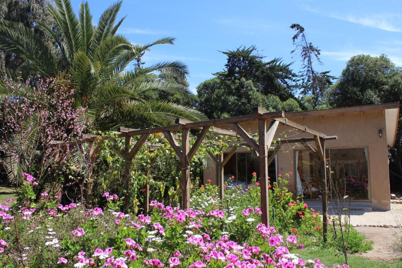 El Arbol Eco Lodge Ла-Серена Екстер'єр фото