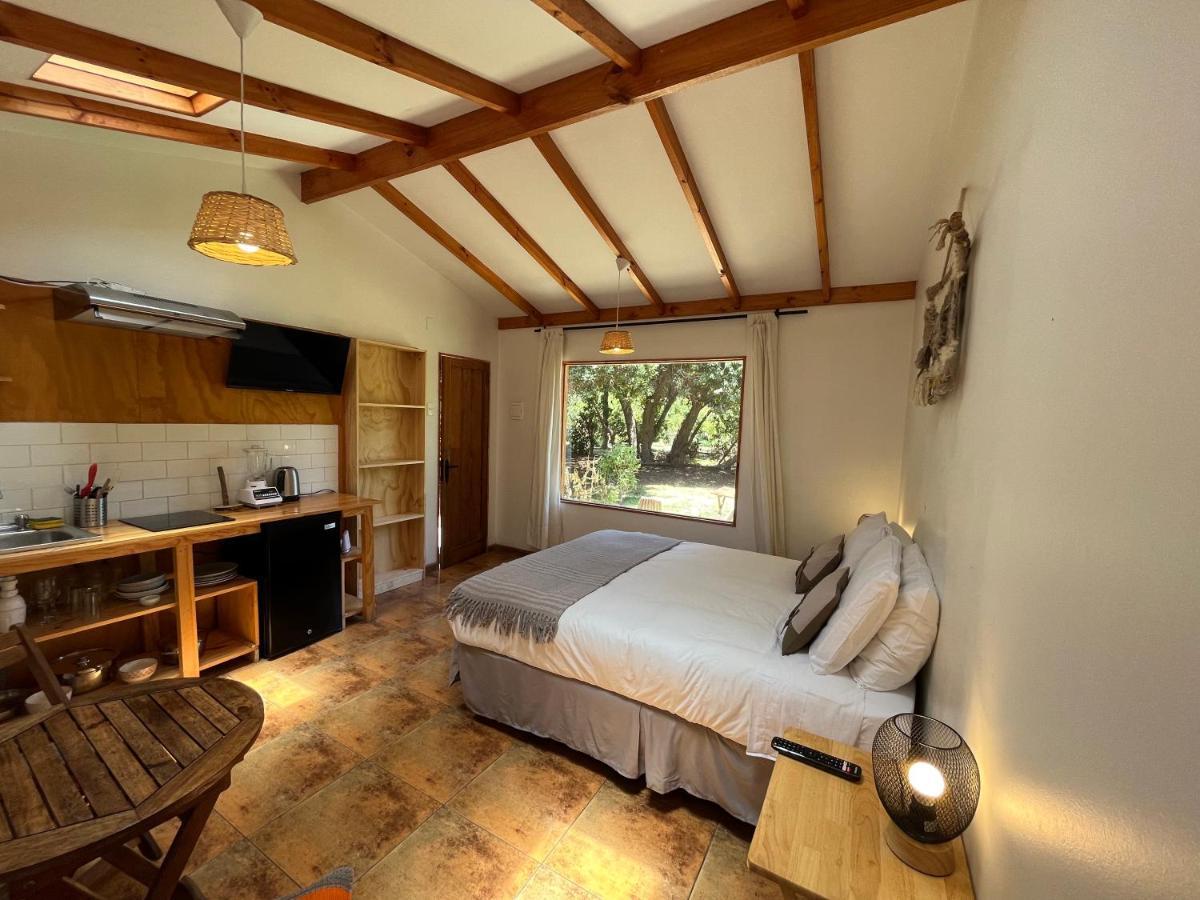 El Arbol Eco Lodge Ла-Серена Екстер'єр фото