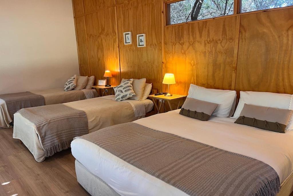 El Arbol Eco Lodge Ла-Серена Екстер'єр фото