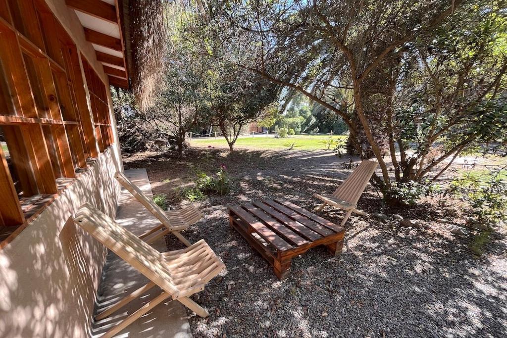 El Arbol Eco Lodge Ла-Серена Екстер'єр фото