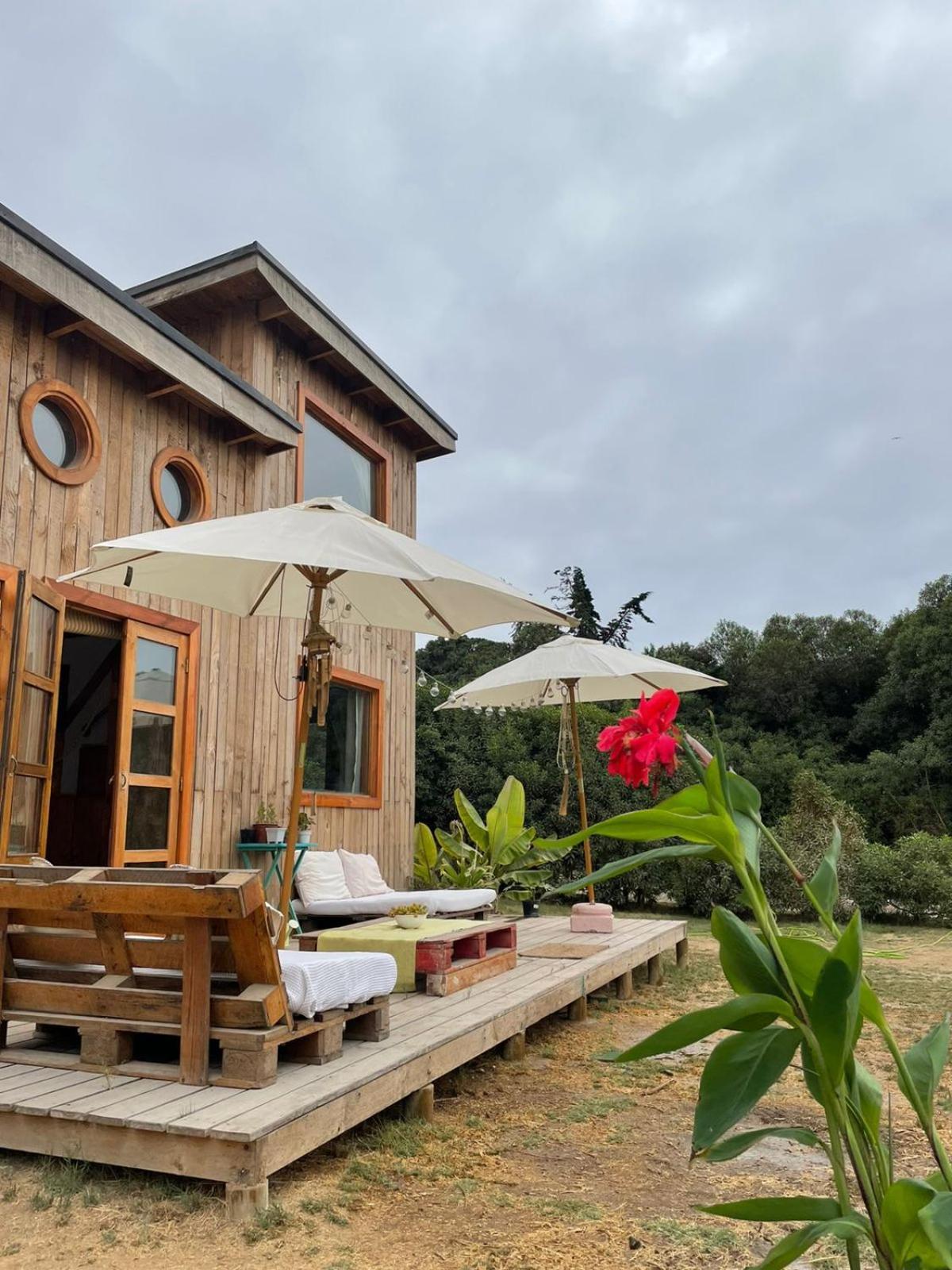 El Arbol Eco Lodge Ла-Серена Номер фото